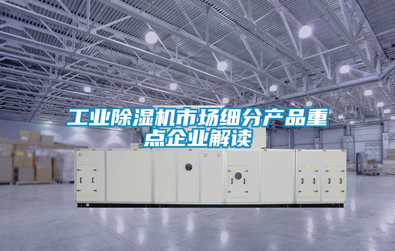工業(yè)除濕機(jī)市場(chǎng)細(xì)分產(chǎn)品重點(diǎn)企業(yè)解讀