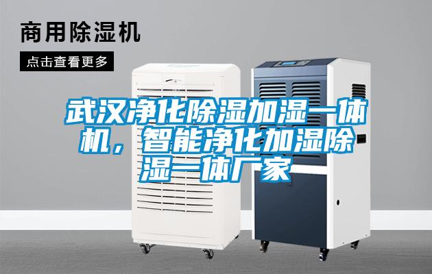 武漢凈化除濕加濕一體機,智能凈化加濕除濕一體廠家