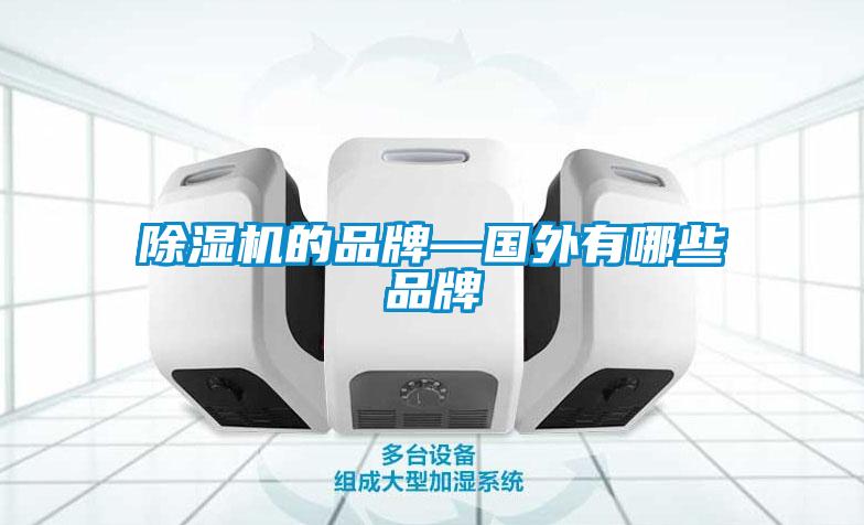 除濕機(jī)的品牌—國(guó)外有哪些品牌