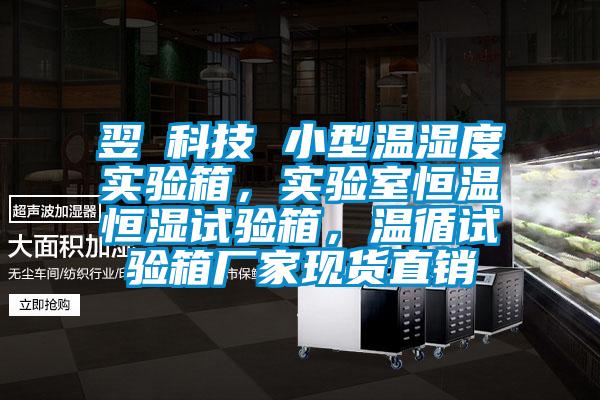 翌昇科技 小型溫濕度實驗箱,實驗室恒溫恒濕試驗箱,溫循試驗箱廠家現(xiàn)貨直銷