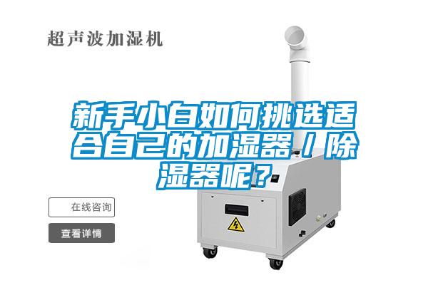 新手小白如何挑選適合自己的加濕器/除濕器呢?
