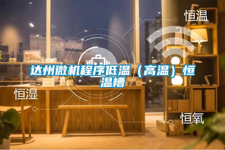 達州微機程序低溫(高溫)恒溫槽