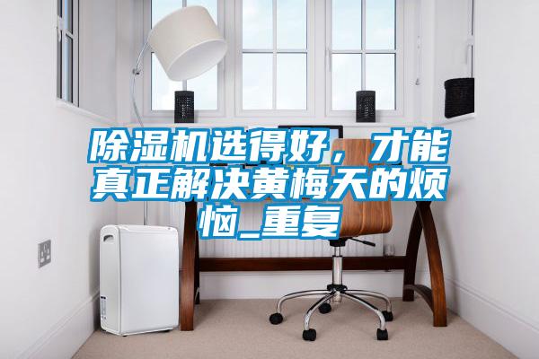 除濕機選得好,才能真正解決黃梅天的煩惱_重復