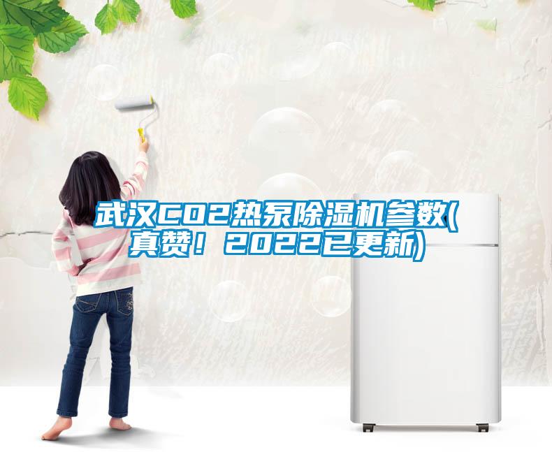 武漢CO2熱泵除濕機參數(shù)(真贊!2022已更新)