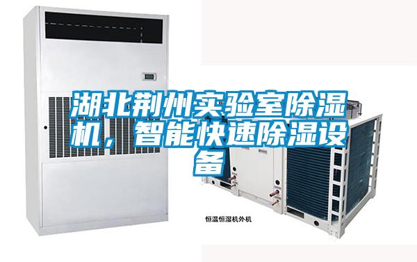 湖北荊州實驗室除濕機(jī),智能快速除濕設(shè)備