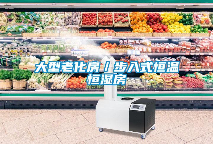大型老化房/步入式恒溫恒濕房