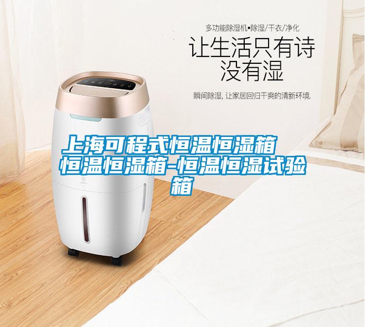上?？沙淌胶銣睾銤裣? 恒溫恒濕箱-恒溫恒濕試驗箱