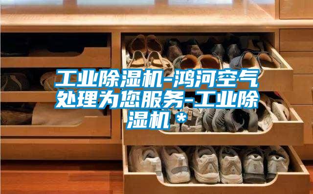 工業除濕機-鴻河空氣處理為您服務-工業除濕機*