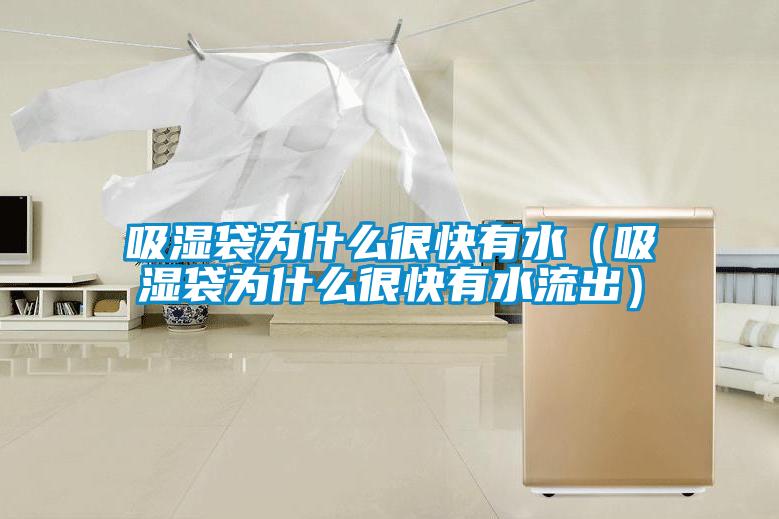 吸濕袋為什么很快有水(吸濕袋為什么很快有水流出)
