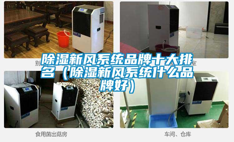 除濕新風(fēng)系統(tǒng)品牌十大排名(除濕新風(fēng)系統(tǒng)什么品牌好)