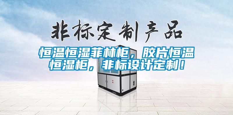 恒溫恒濕菲林柜，膠片恒溫恒濕柜，非標設計定制！