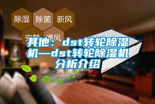 其他:dst轉(zhuǎn)輪除濕機(jī)—dst轉(zhuǎn)輪除濕機(jī)分析介紹