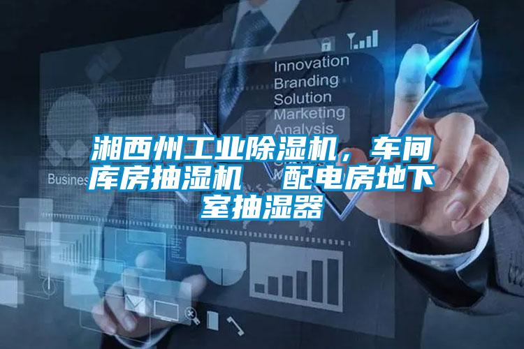 湘西州工業除濕機,車間庫房抽濕機  配電房地下室抽濕器