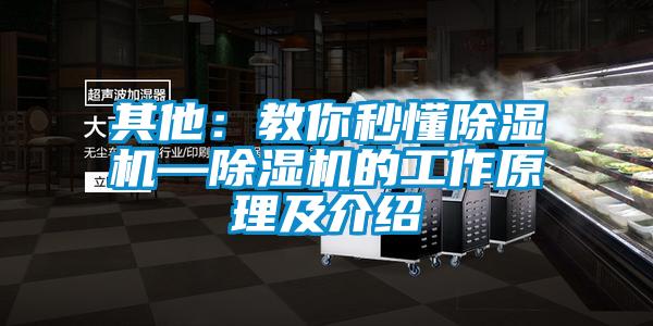 其他:教你秒懂除濕機(jī)—除濕機(jī)的工作原理及介紹
