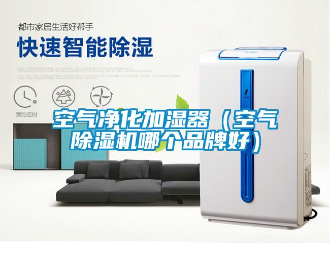 空氣凈化加濕器(空氣除濕機哪個品牌好)