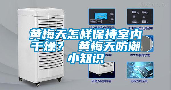 黃梅天怎樣保持室內干燥? 黃梅天防潮小知識