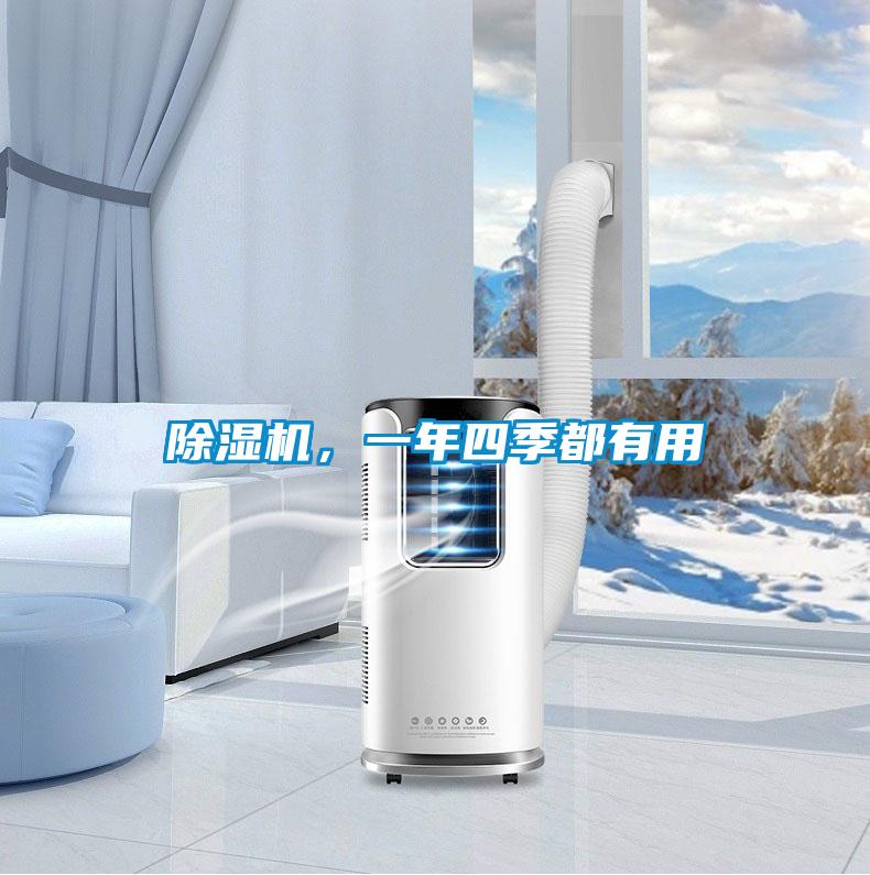 除濕機,一年四季都有用