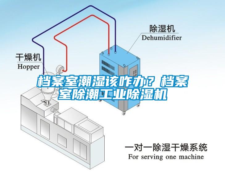 檔案室潮濕該咋辦?檔案室除潮工業(yè)除濕機(jī)