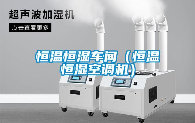 恒溫恒濕車間(恒溫恒濕空調機)
