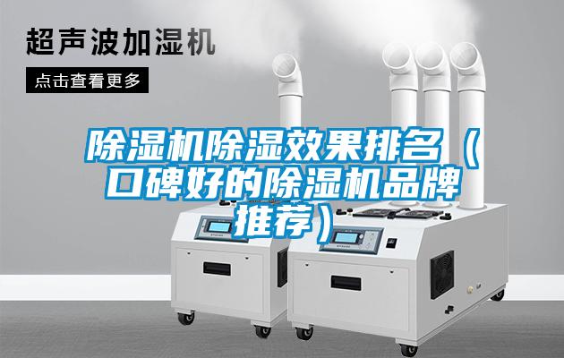 除濕機除濕效果排名(口碑好的除濕機品牌推薦)