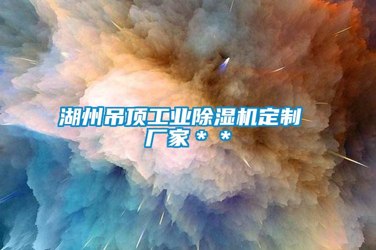 湖州吊頂工業(yè)除濕機(jī)定制 廠家**