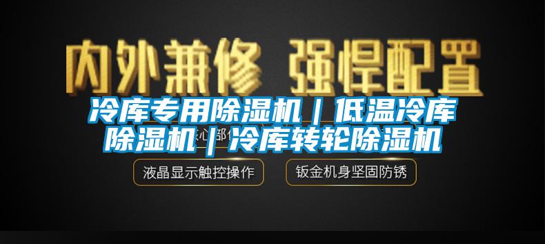 冷庫專用除濕機|低溫冷庫除濕機|冷庫轉輪除濕機