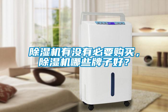 除濕機(jī)有沒有必要購買,除濕機(jī)哪些牌子好?