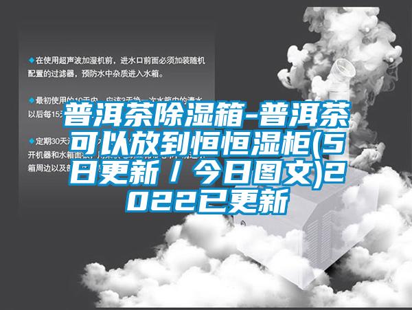 普洱茶除濕箱-普洱茶可以放到恒恒濕柜(5日更新/今日圖文)2022已更新