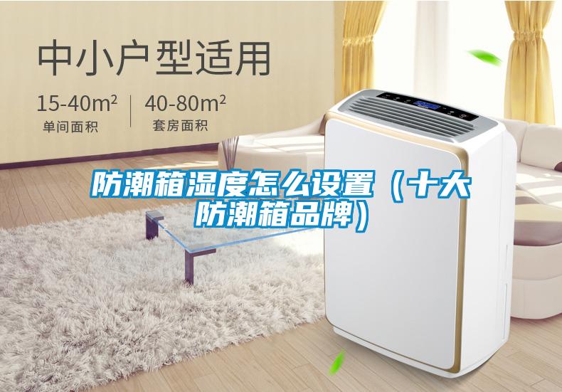 防潮箱濕度怎么設置(十大防潮箱品牌)