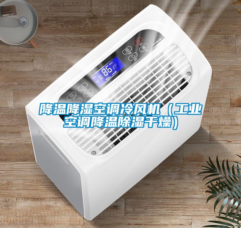 降溫降濕空調冷風機(工業空調降溫除濕干燥)