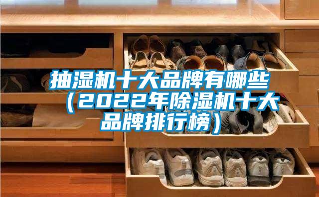 抽濕機十大品牌有哪些(2022年除濕機十大品牌排行榜)