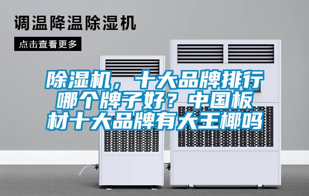 除濕機(jī)，十大品牌排行哪個(gè)牌子好？中國板材十大品牌有大王椰嗎