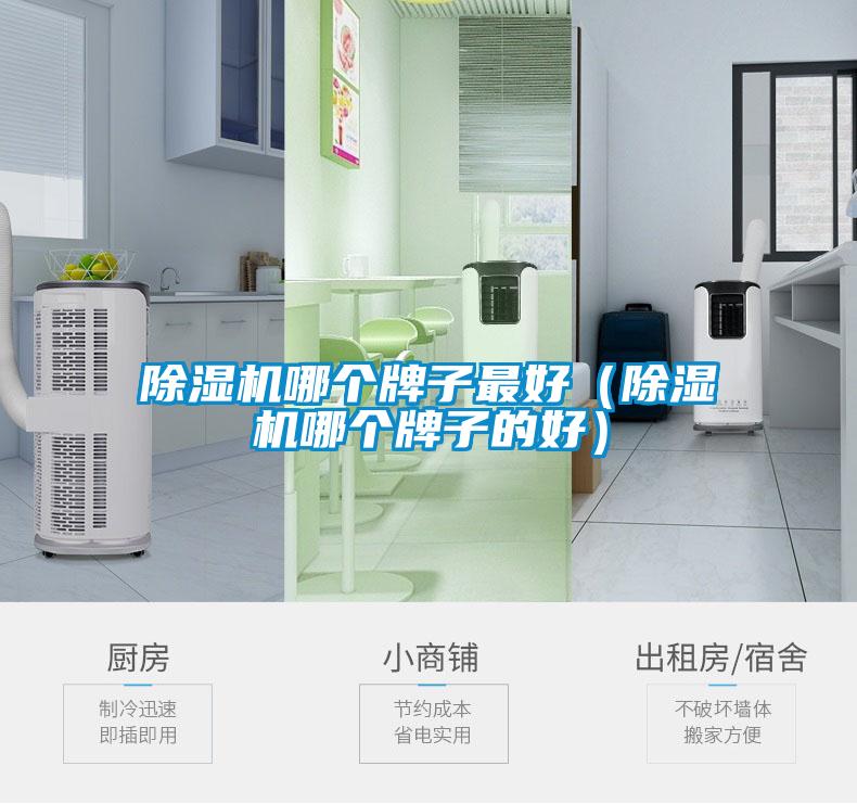 除濕機哪個牌子最好(除濕機哪個牌子的好)