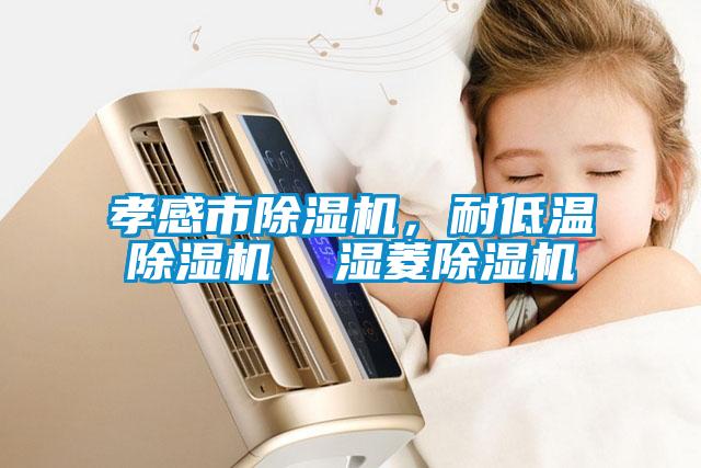 孝感市除濕機,耐低溫除濕機  濕菱除濕機