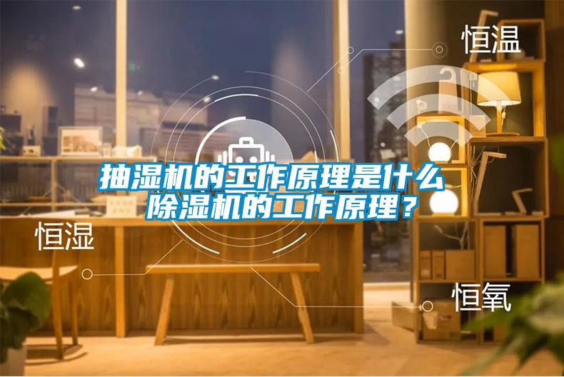 抽濕機的工作原理是什么 除濕機的工作原理?