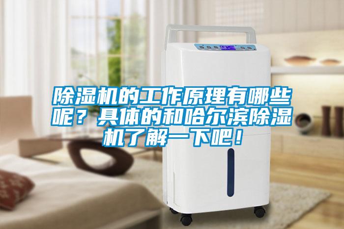 除濕機的工作原理有哪些呢?具體的和哈爾濱除濕機了解一下吧!