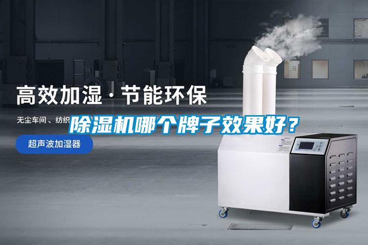除濕機哪個牌子效果好?