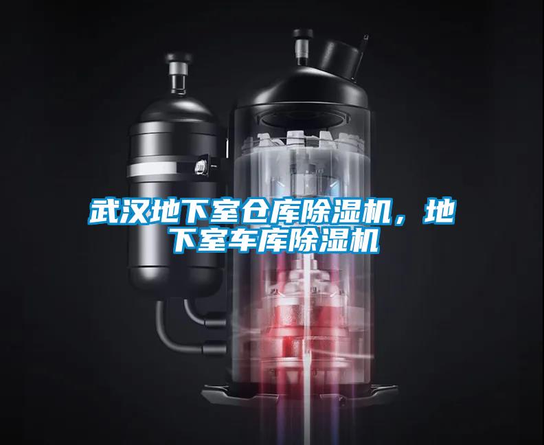 武漢地下室倉庫除濕機,地下室車庫除濕機
