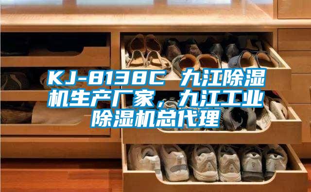 KJ-8138C 九江除濕機生產(chǎn)廠家，九江工業(yè)除濕機總代理