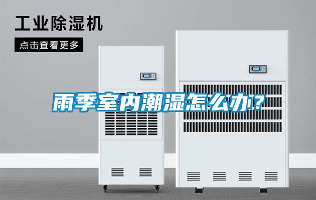 雨季室內潮濕怎么辦?