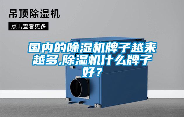 國內的除濕機牌子越來越多,除濕機什么牌子好?