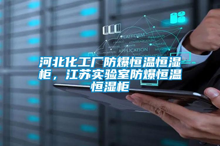 河北化工廠防爆恒溫恒濕柜，江蘇實驗室防爆恒溫恒濕柜
