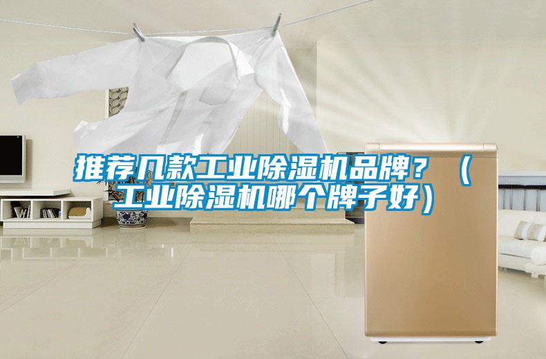 推薦幾款工業除濕機品牌?(工業除濕機哪個牌子好)