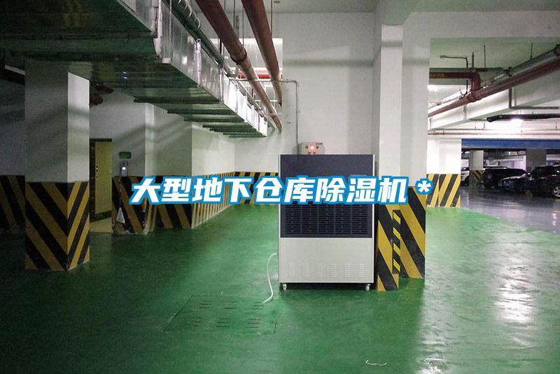 大型地下倉庫除濕機(jī)*