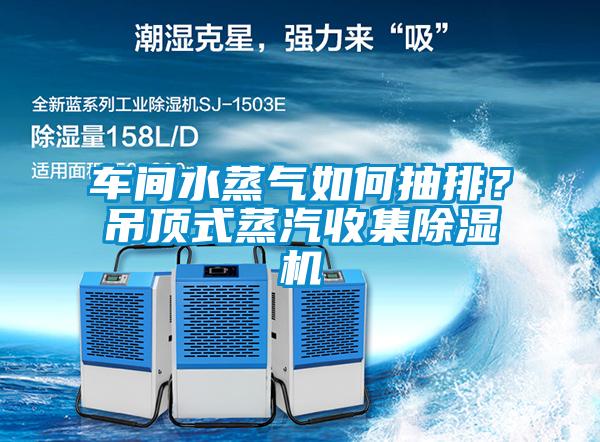 車間水蒸氣如何抽排?吊頂式蒸汽收集除濕機