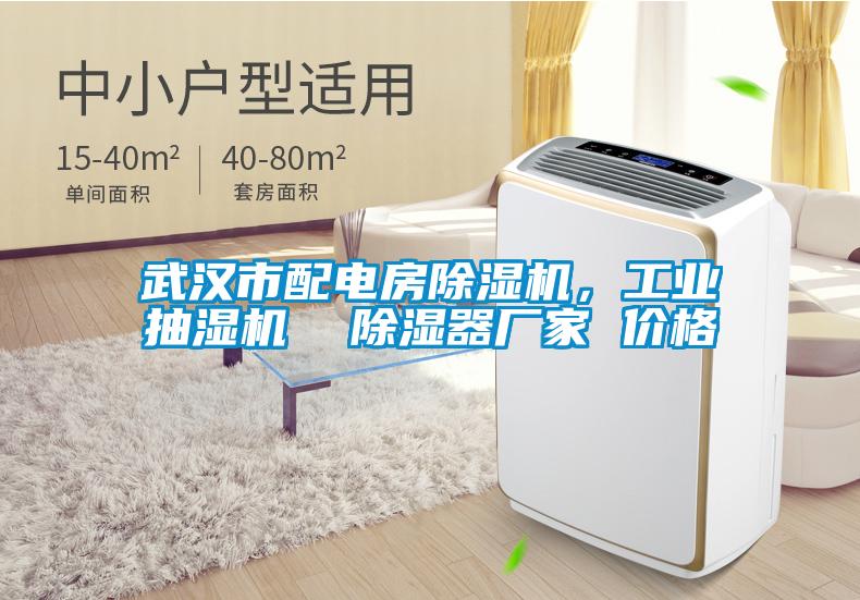 武漢市配電房除濕機，工業抽濕機  除濕器廠家 價格