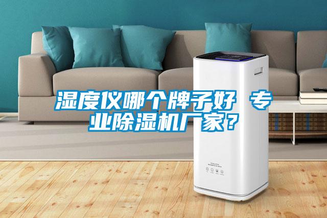 濕度儀哪個牌子好 專業(yè)除濕機廠家?