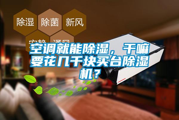 空調就能除濕,干嘛要花幾千塊買臺除濕機?
