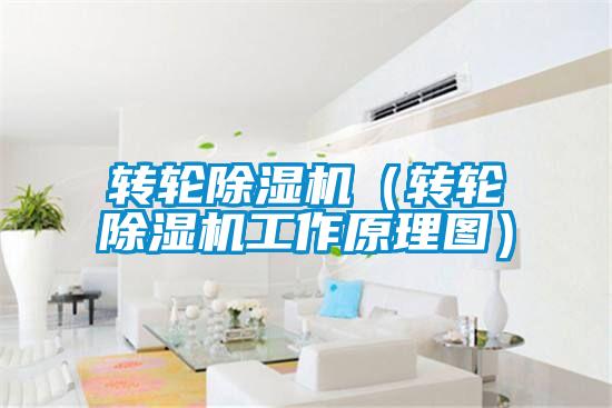 轉輪除濕機(轉輪除濕機工作原理圖)