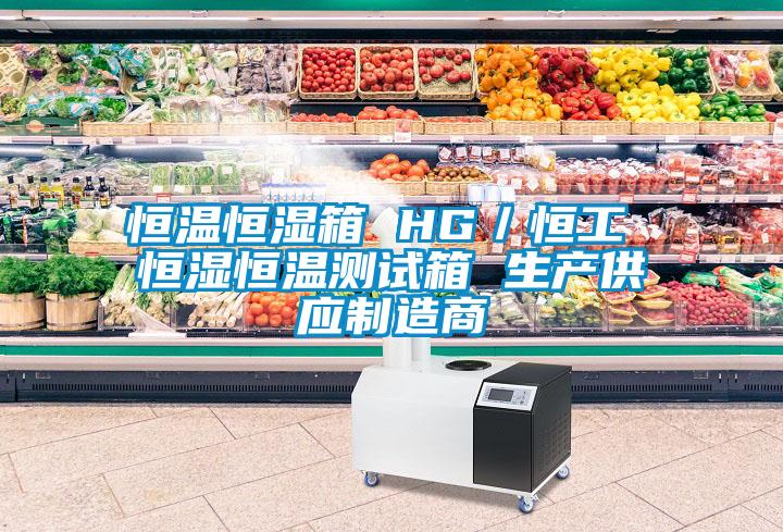 恒溫恒濕箱 HG/恒工 恒濕恒溫測試箱 生產供應制造商